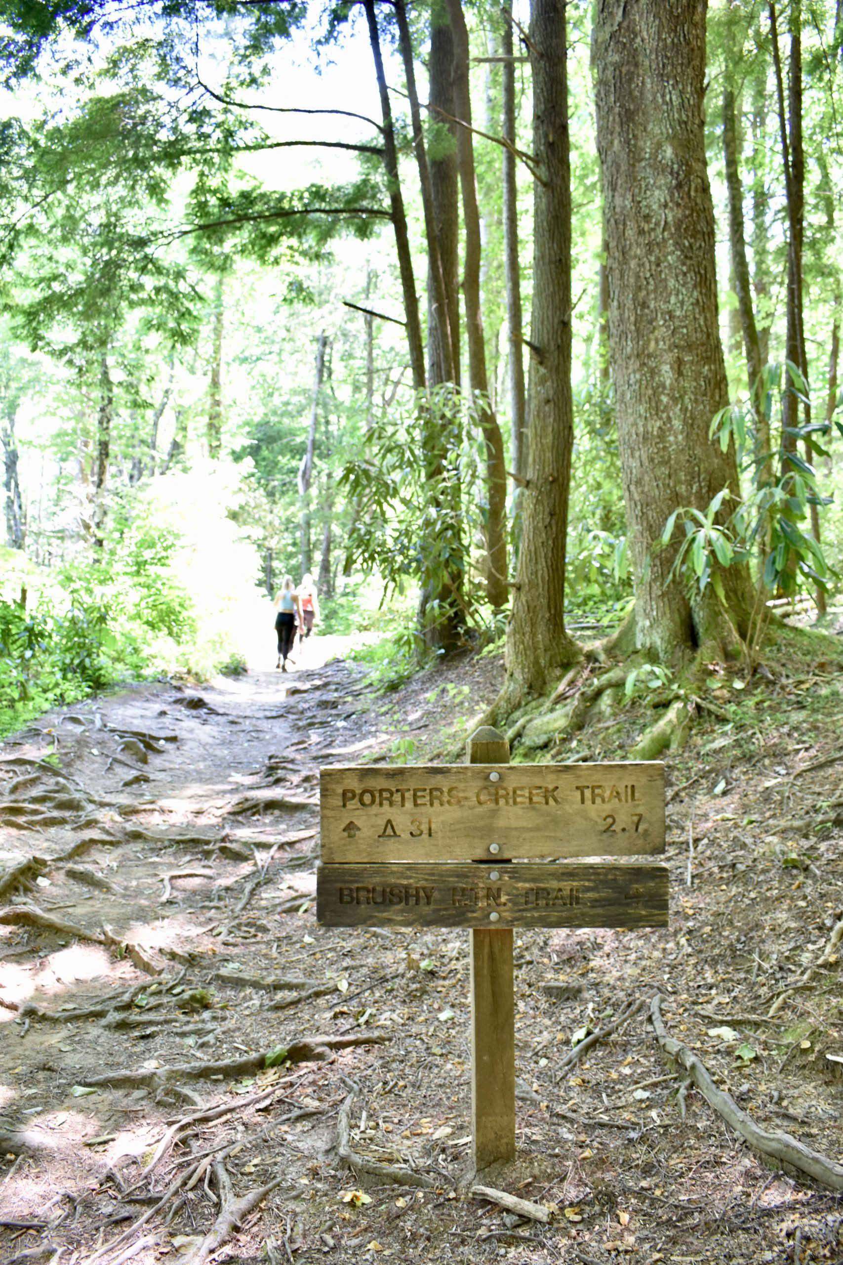Porter's Creek Trail